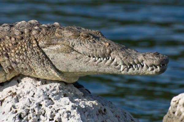 Biscayne National Park